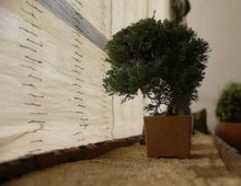 Load image into Gallery viewer, Natural Ramie with Bamboo Sticks Window Roller Roman Shade