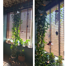 Load image into Gallery viewer, 100% Genuine Hardwood Venetian Blinds | Solid Wood Window Slats with Customizable Color Cloth Tapes & Decorative Straps