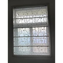Load image into Gallery viewer, Sheer Daisy Blossom Embroidered Flora Transparent Window Roman Shade