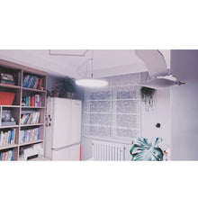 Load image into Gallery viewer, Sheer Daisy Blossom Embroidered Flora Transparent Window Roman Shade