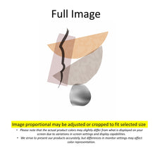 Load image into Gallery viewer, Mid Century Modern Boho Geometric Polygon Window Zebra Roller Shades with Valance