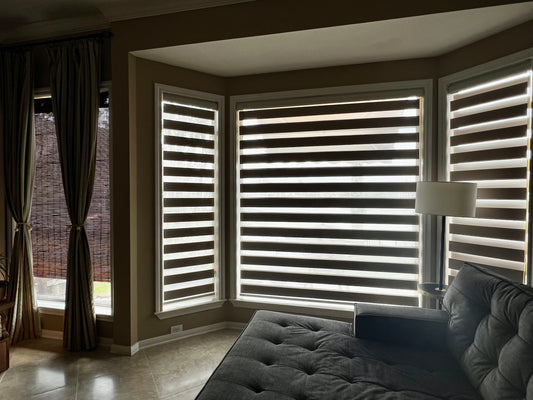 Zebra shade window curtain 