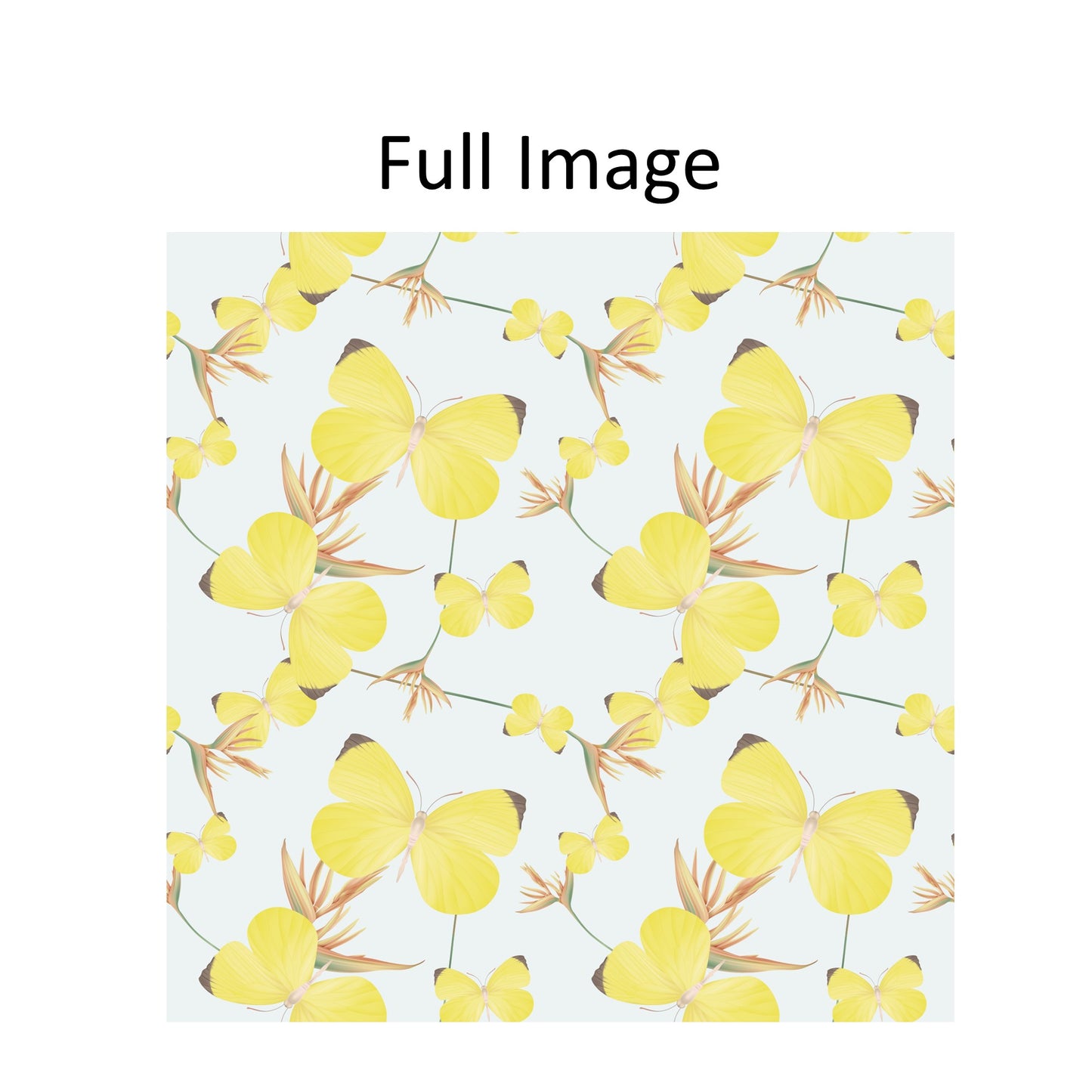 Butterfly Window Roman Shade