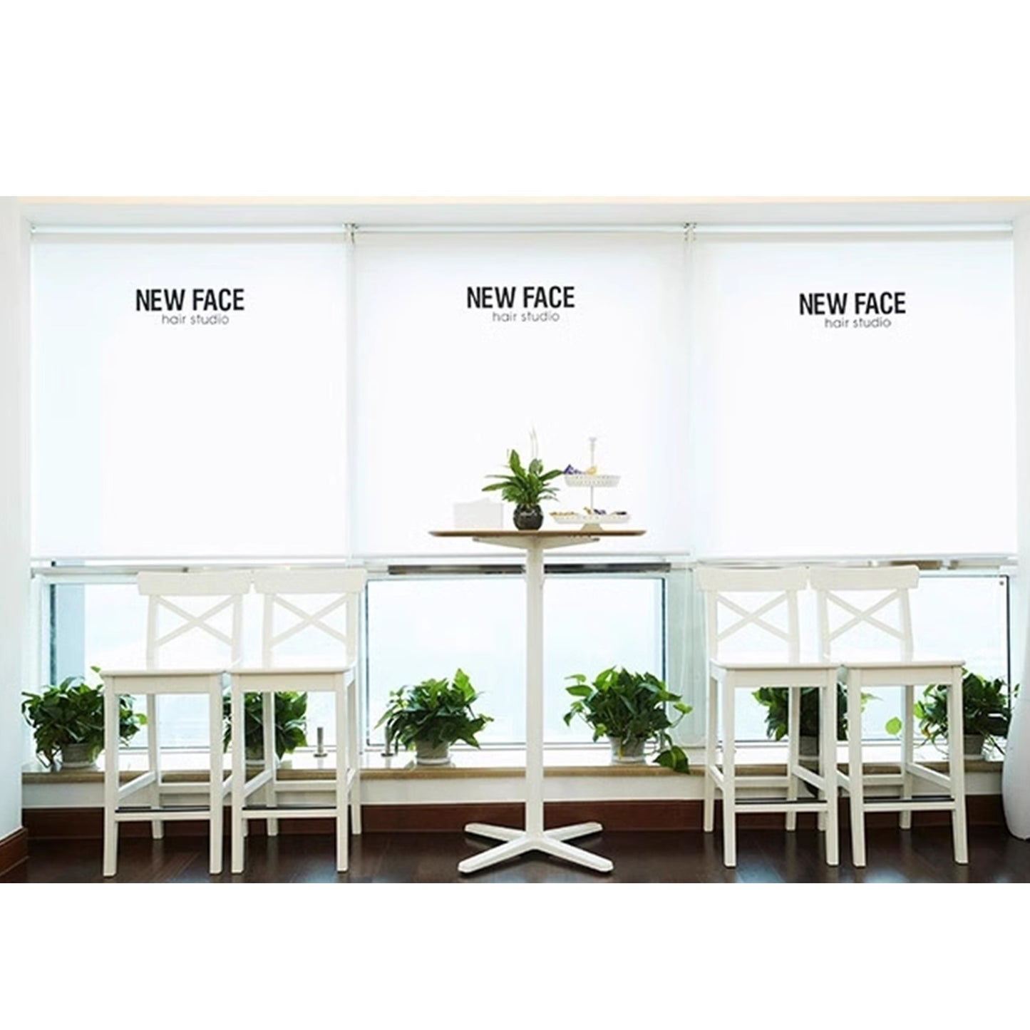 Custom Your Image/Logo Print Double Sided Printing Blackout Window Roller Shade