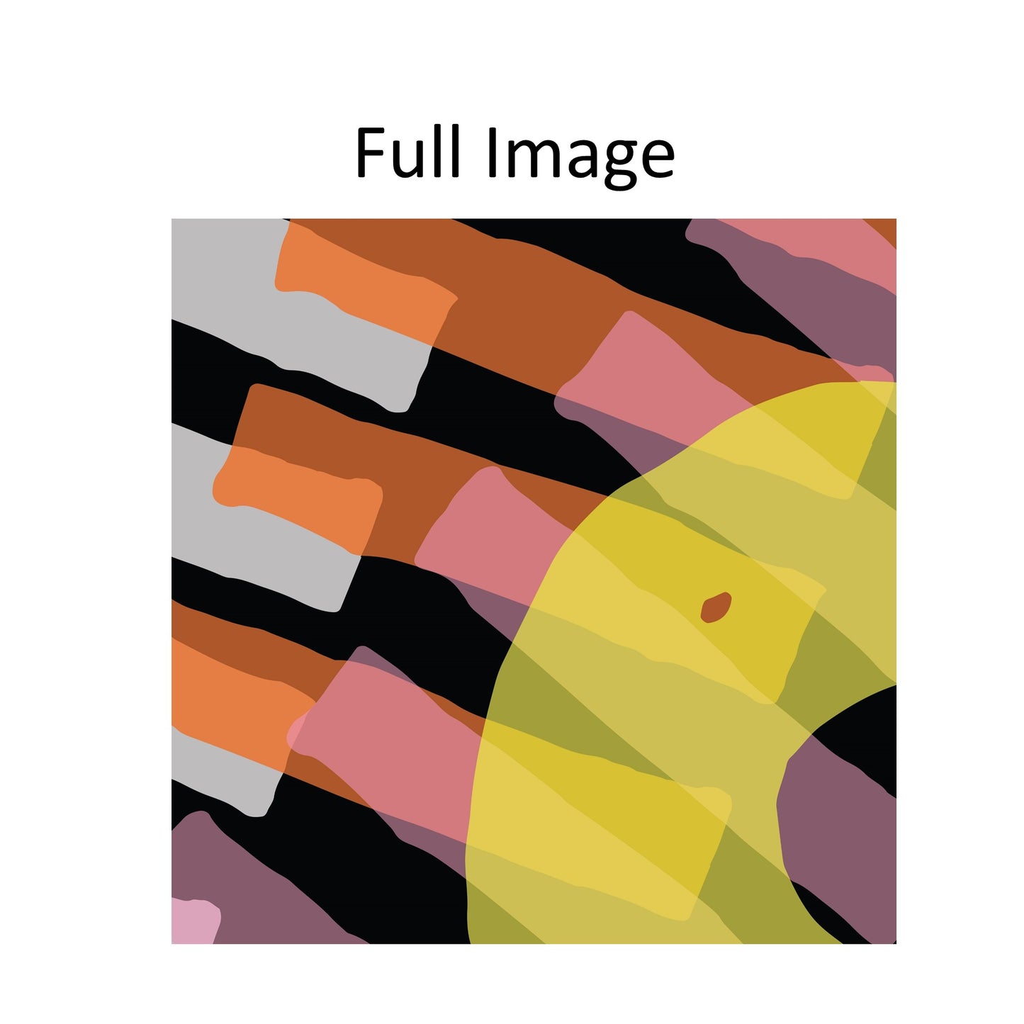 Abstract Art Window Roman Shade