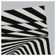Load image into Gallery viewer, Zebra Black and White Stripes Window Roman Shade
