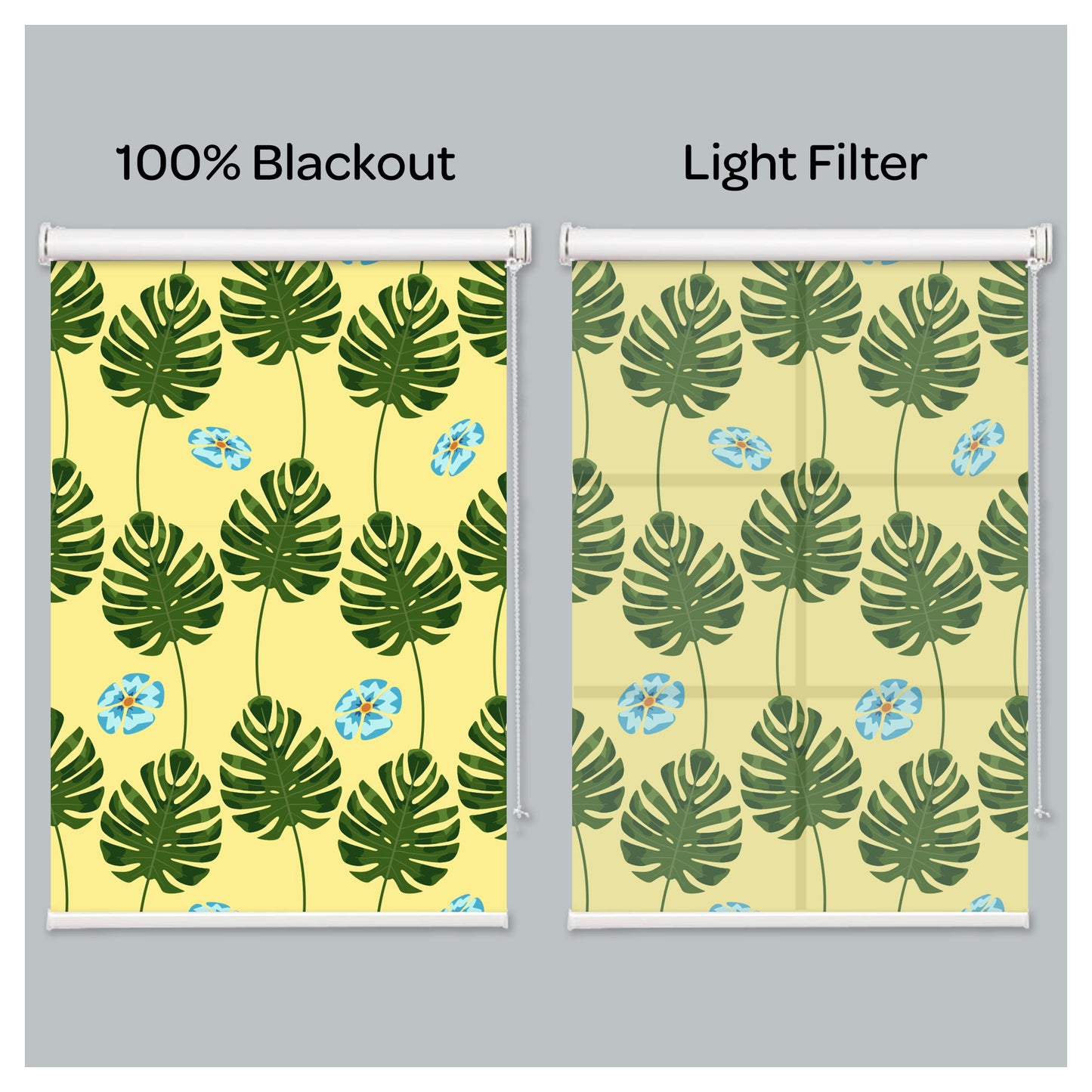 Monstera Borsigiana Aurea Marmorata Print Window Roller Shade